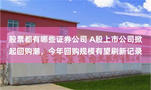 股票都有哪些证券公司 A股上市公司掀起回购潮,今年回购规模有望刷新记录