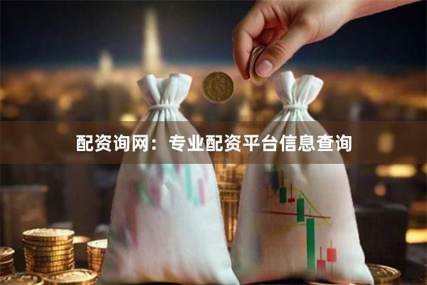 配资询网：专业配资平台信息查询