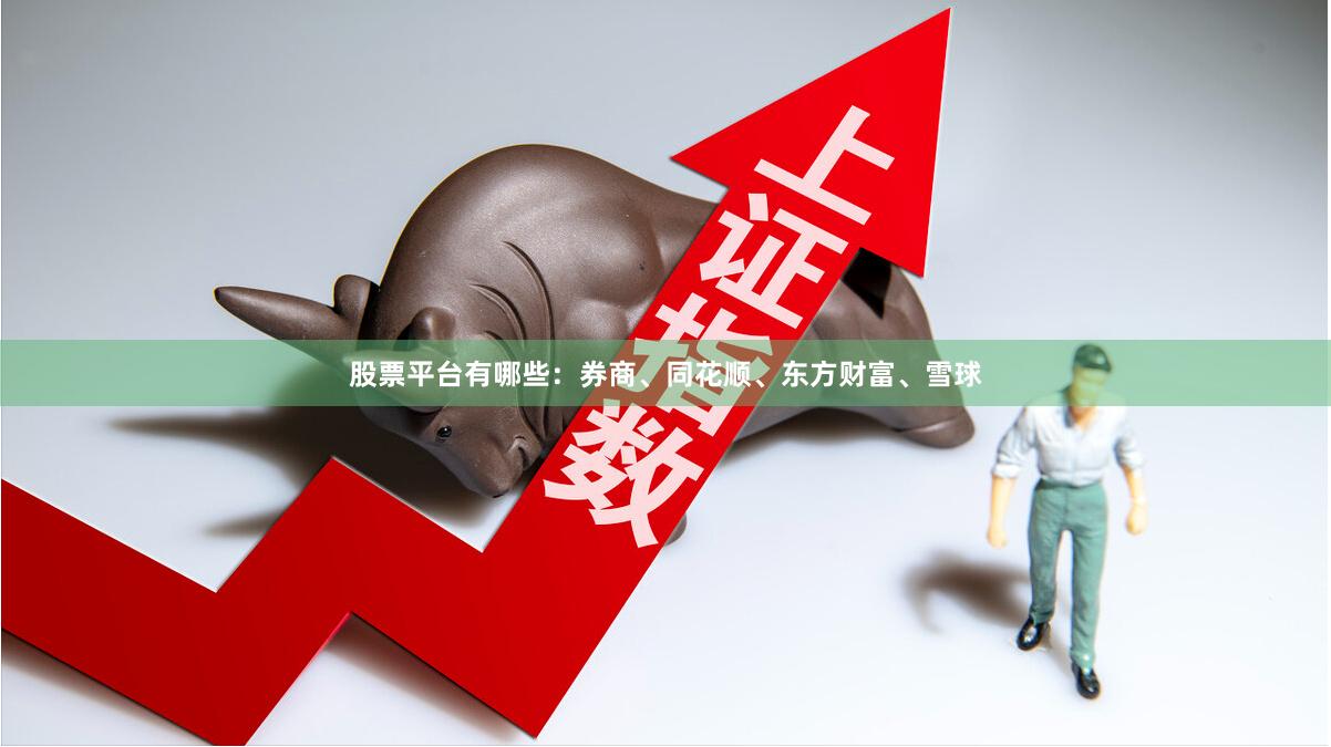 股票平台有哪些:券商、同花顺、东方财富、雪球
