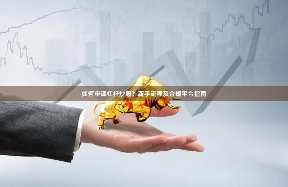 如何申请杠杆炒股？新手流程及合规平台指南