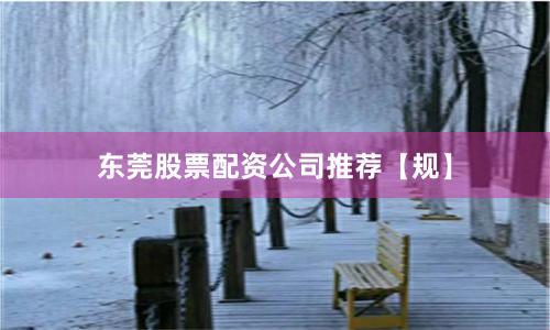 东莞股票配资公司推荐【规】