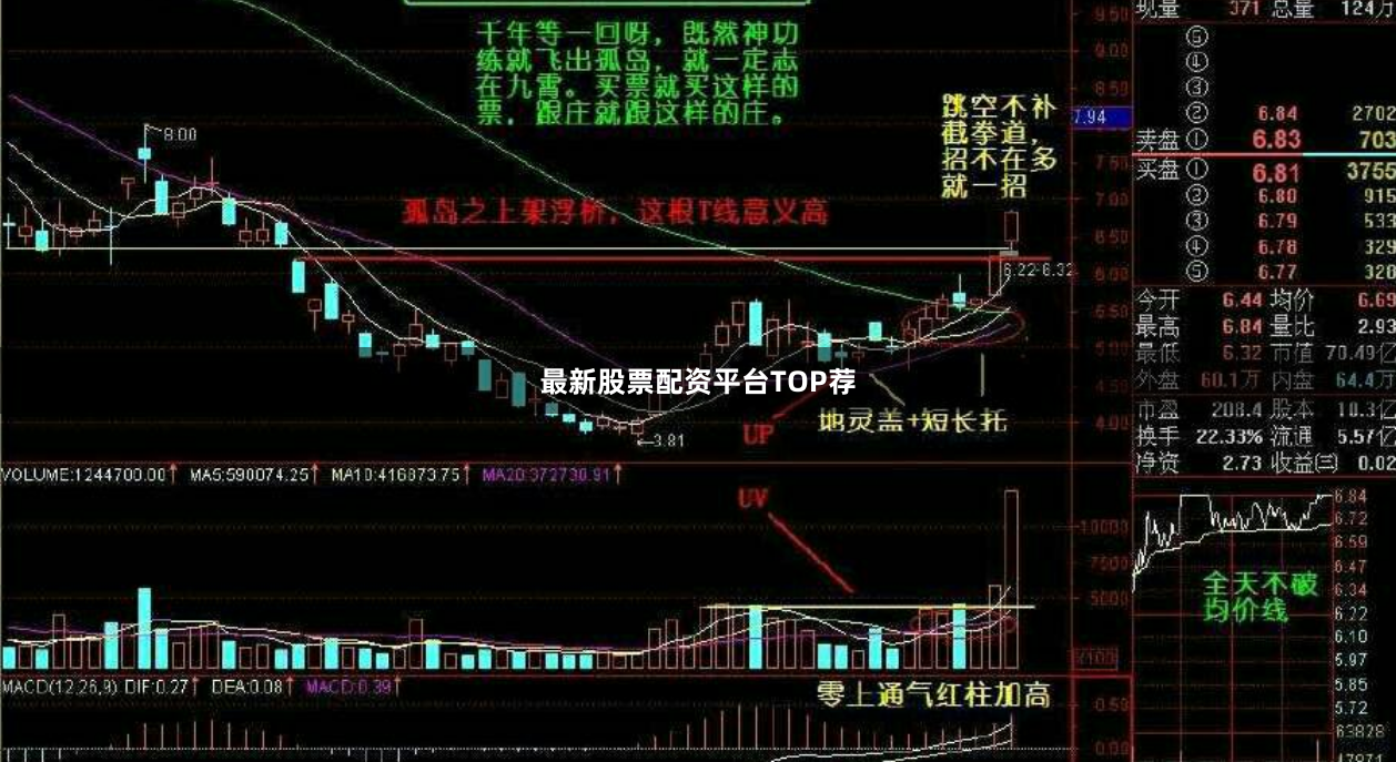 最新股票配资平台TOP荐