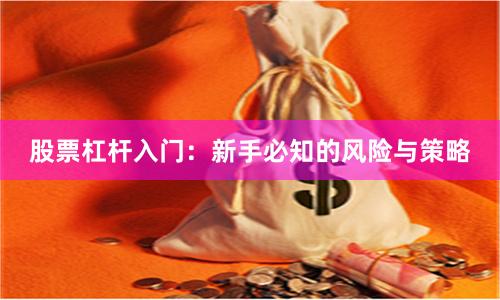 股票杠杆入门：新手必知的风险与策略